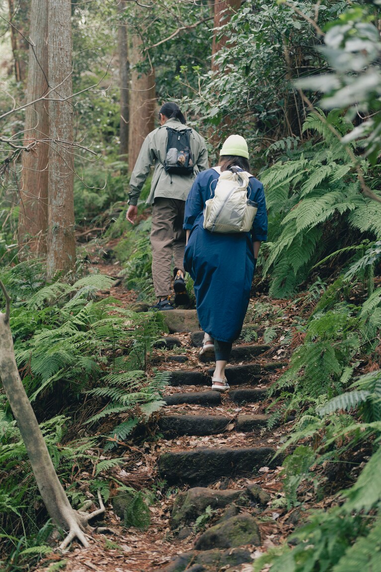トレイルは、ジャングルのように鬱蒼とした森の中。