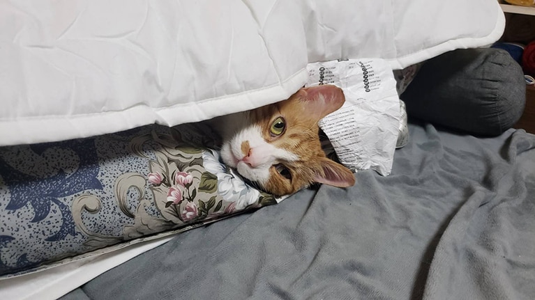 マリ、どこに挟まってるの？