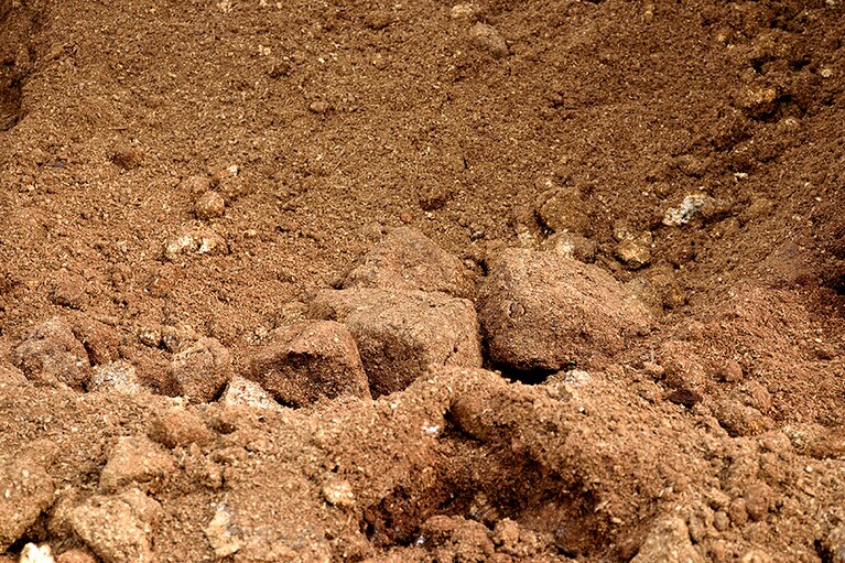 近隣のきのこ農家から不要になった菌床をもらい受け、山の落ち葉と合わせて発酵・熟成させた手作り堆肥。