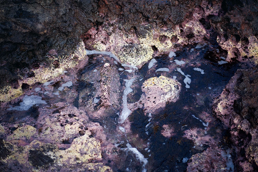 国賀神社前の海中の岩。微生物の付着でパステルカラーに。