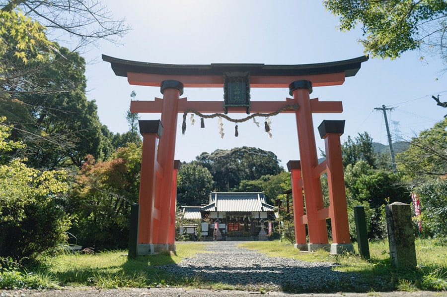 階段を登りきると丹塗りの鳥居があり、その先に拝殿が見えます。