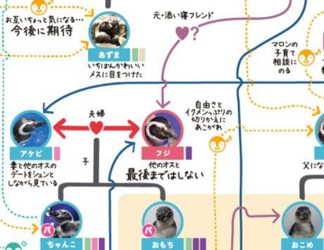 そこにいるだけでオスペンギンを魅了してしまう《フジ》だが、「他のオスと最後まではしない」。不倫はしない主義なのだ