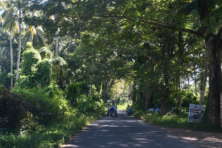 自然豊かなロンボク島。のどかさは30年くらい前のバリ島のよう、との声も。