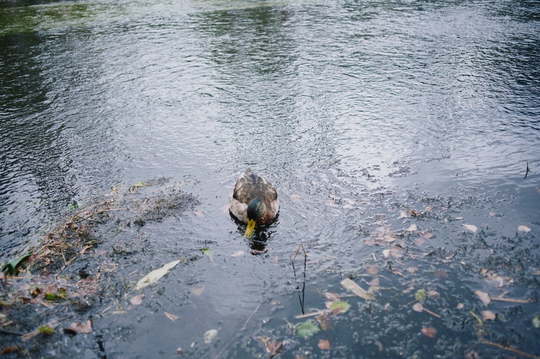 展望ウッドデッキは絶好のビュースポット。ほっこりする風景も。