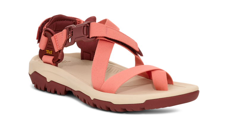 「Hurricane Terra Dactyl」