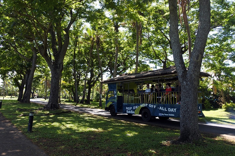 デナラウ島を巡回しているブラバス。1日券がお得。