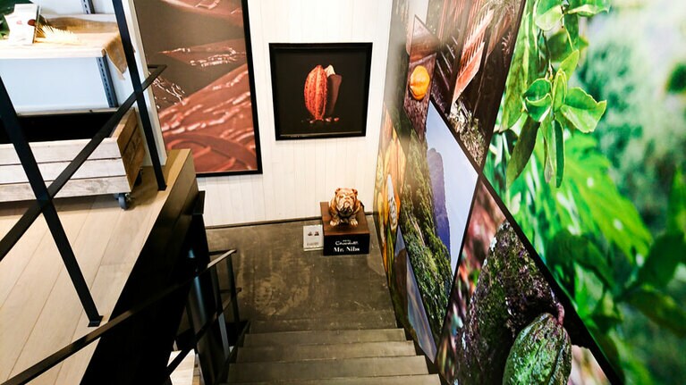 看板犬「ヒズニブス」がお出迎え。