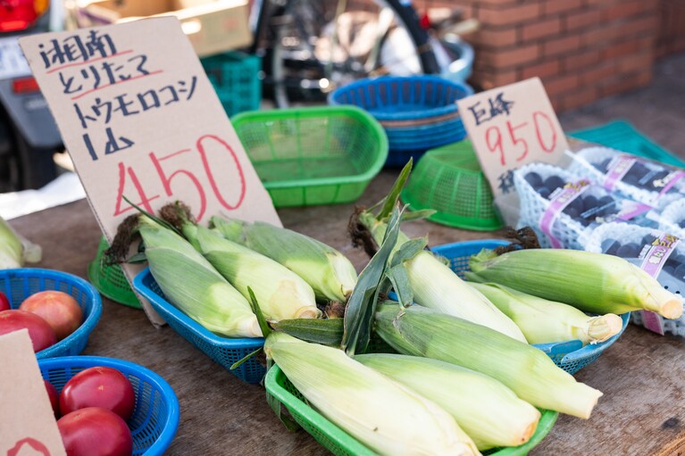 朝採れの新鮮なトウモロコシ1山450円。