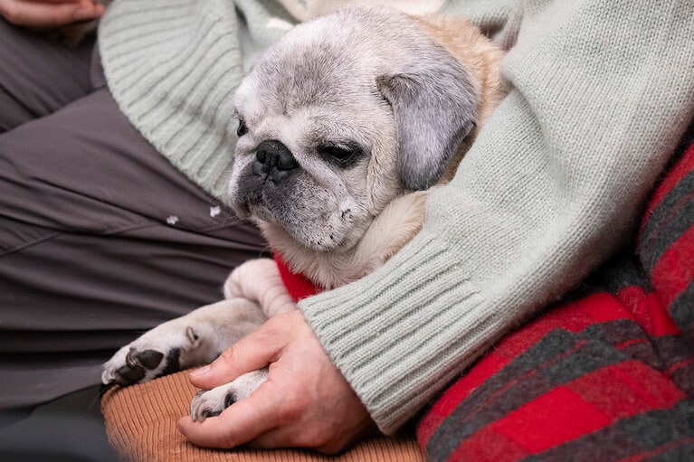 アザーカット。