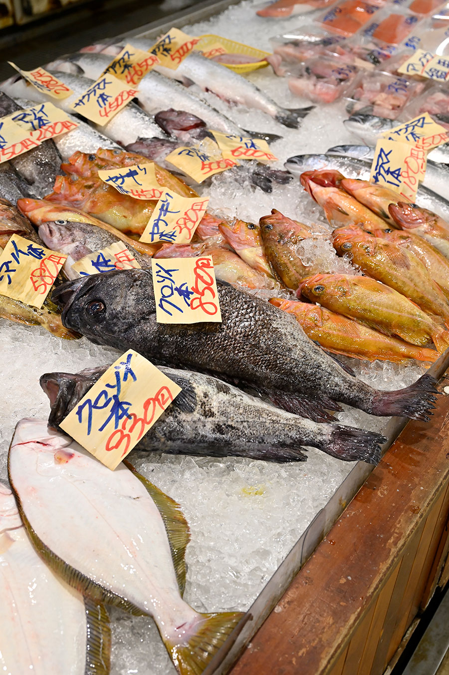 クロゾイ、シマゾイなどプロ向けの鮮魚も多い。