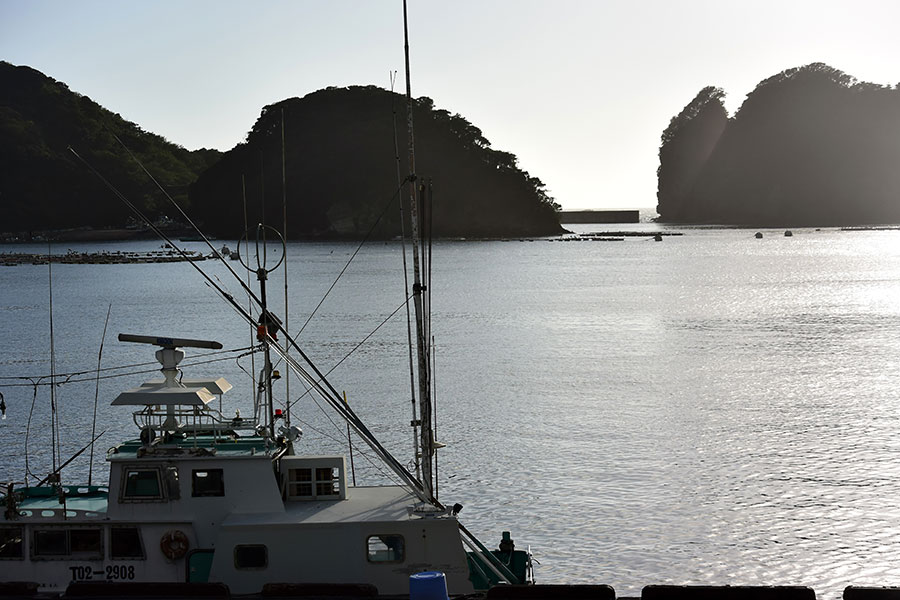 田子漁港。水揚げされる魚種はタチウオ、アジ、タイ類、イカ、ヒラメなど。