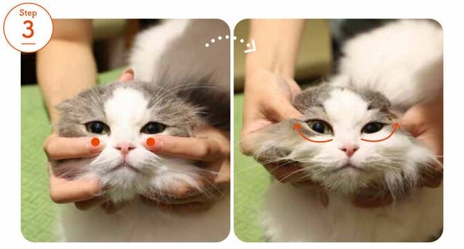 専用】ねこほぐし