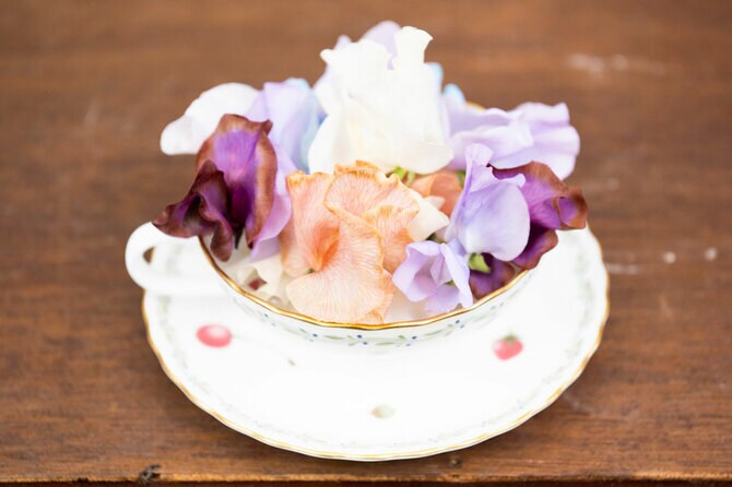 春野〜カーネーションとスイートピーの花籠〜