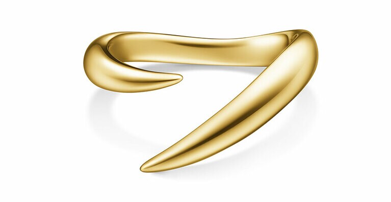 デインジャー ホ ー ン プラス リング（YG）429,000円。