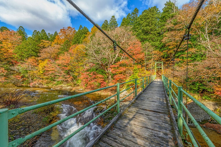 薬研渓流の紅葉。