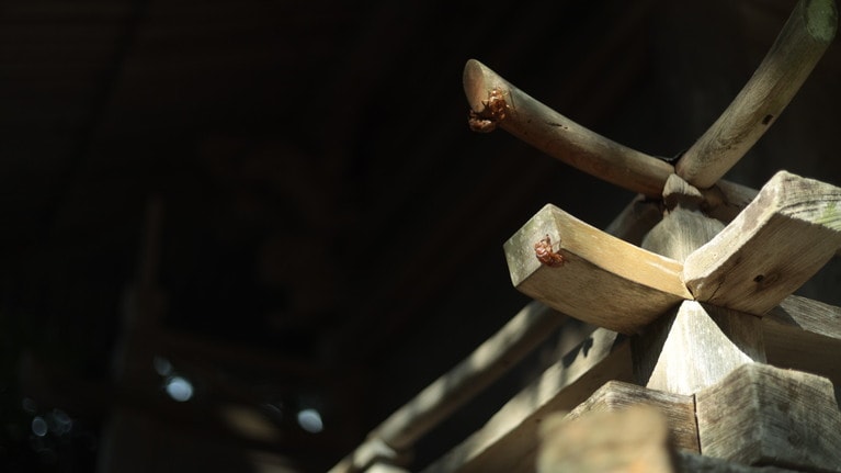 「私たちの新潟旅行」　大原えみ 「ひと夏」 彼らの一生への歓びをおさめた1枚。