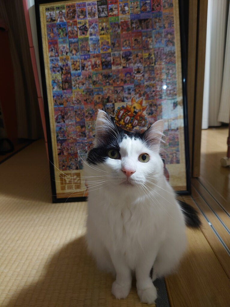 サリ メス 8歳。頑張ってパズル完成させたよ！（みーくんさん）。