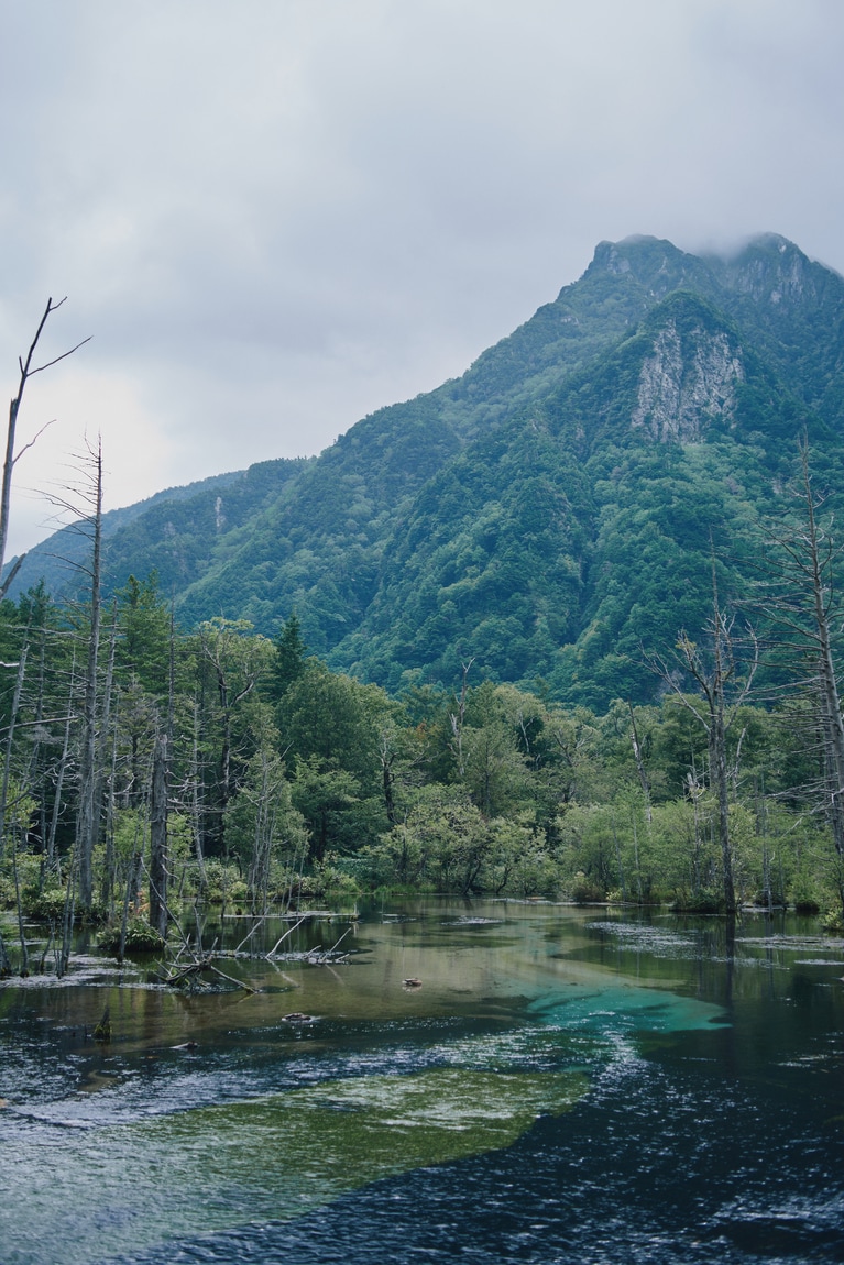 上高地バスターミナルから歩いて15分ほど。岳沢湿原ではこんな美しい風景も。
