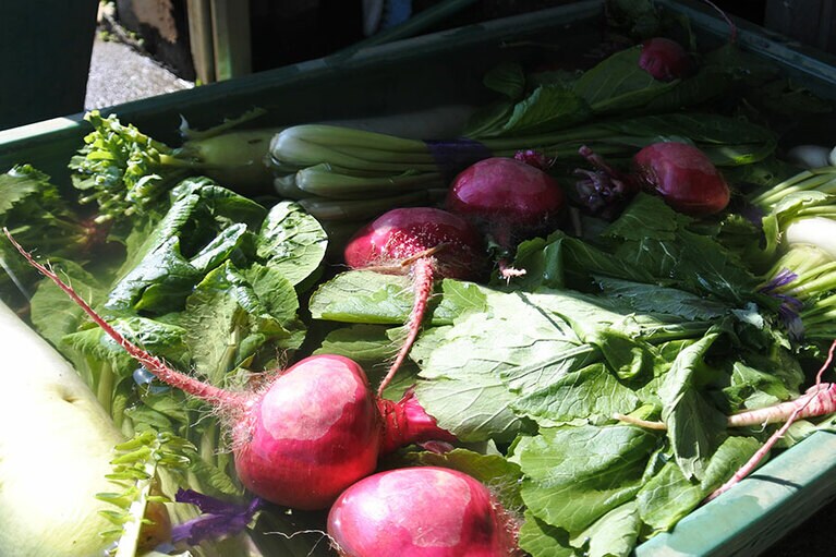 新鮮な三浦野菜を購入するのも、ショートトリップの楽しみ。