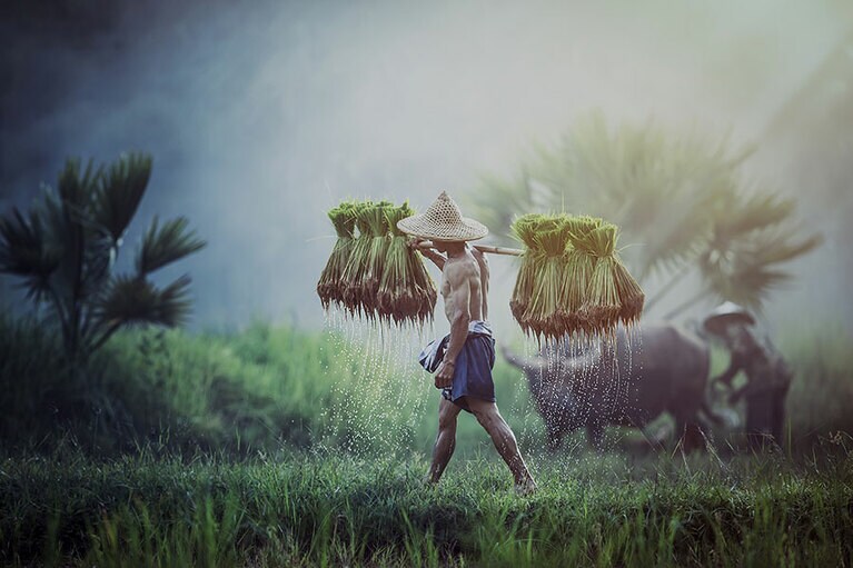 いちばん影響を受けた本は、千葉敦子さんの『ニューヨークの24時間』。写真：アフロ