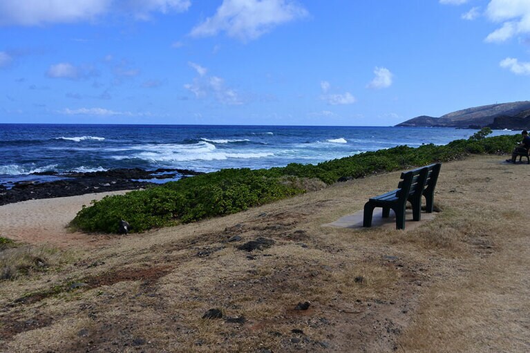 冬～春にかけては、沖にザトウクジラが通過することも。