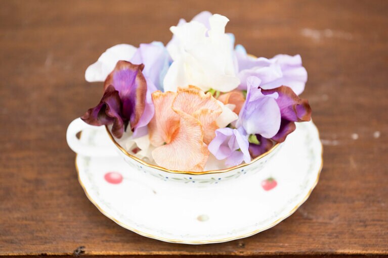 スイートピーの花だけをティーカップに詰めても可愛い。 