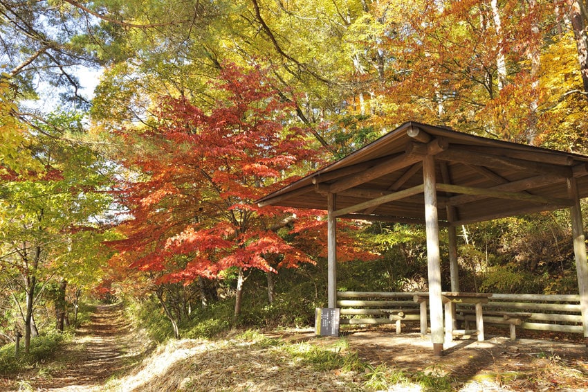 根の上高原。