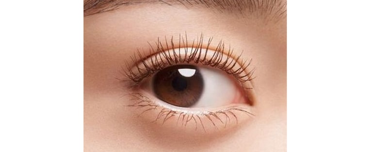 03 モカブラウンの使用イメージ。