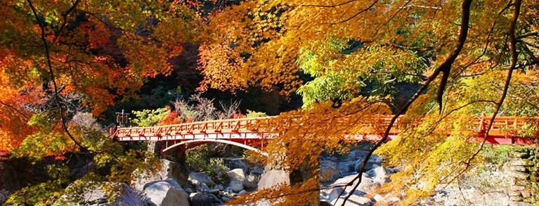 【和歌山県】奇絶峡。