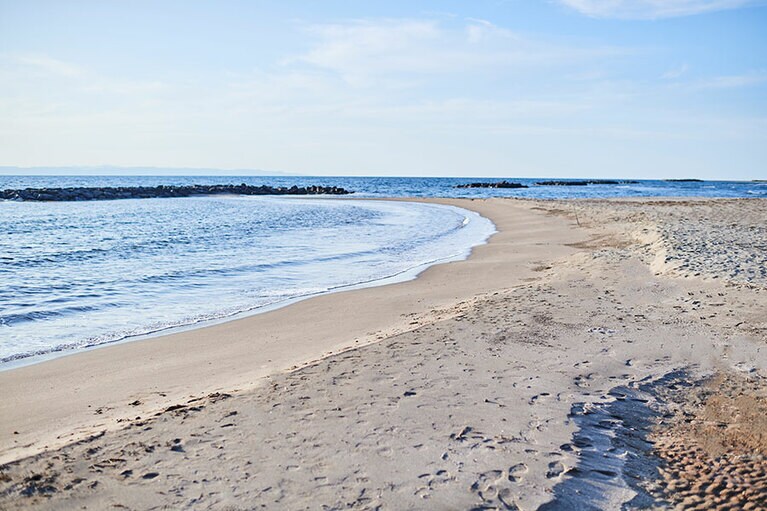 日中はざぶんと飛び込みたい！