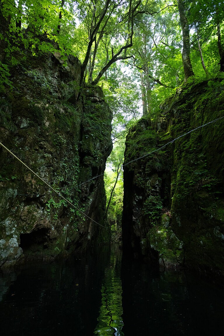 渡船の名前にもなっている「猿飛」。