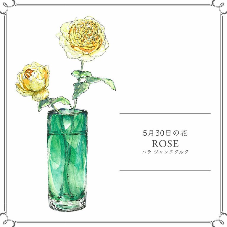 5月30日の花「バラ ジャンヌダルク」