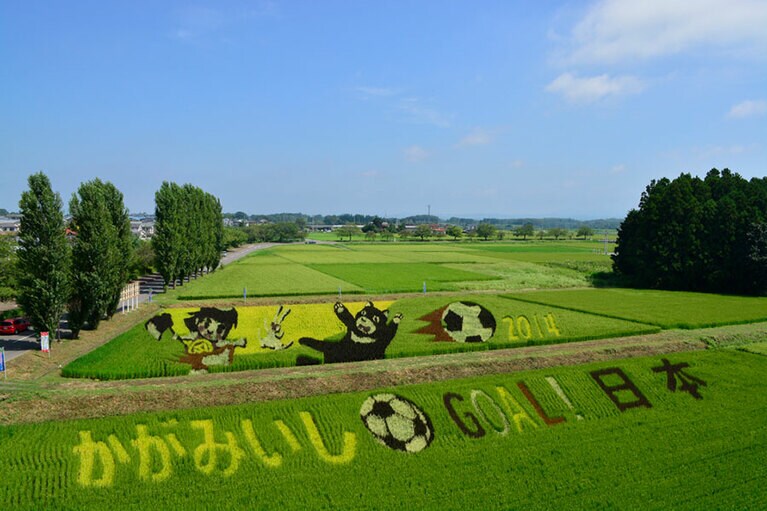 かがみいし田んぼアート。