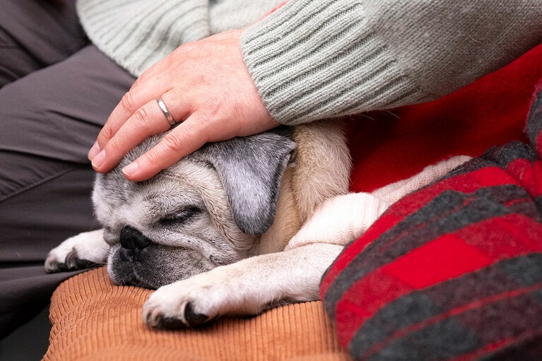 アザーカット。