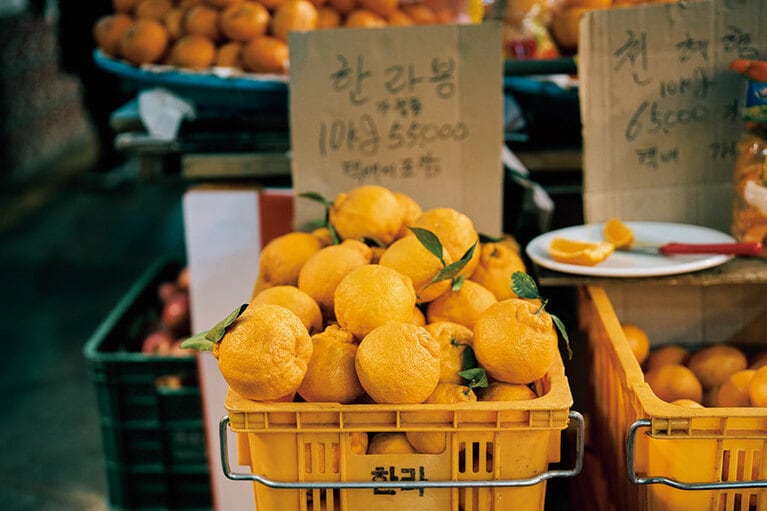 西帰浦の毎日オルレ市場で「甘いよ」とカットしたハルラボンを差し出してくれるオモニ。一口かじると疲れが吹き飛ぶ。（西帰浦毎日オルレ市場）