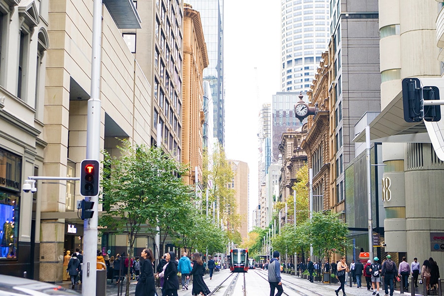 シドニーでいちばん華やかなエリア、ジョージ・ストリート。
