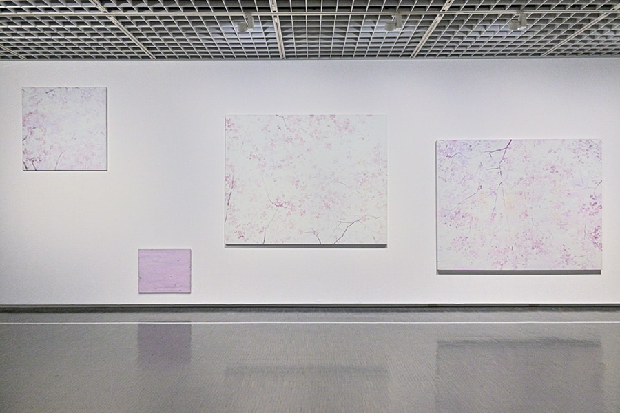 児玉靖枝《ambient light ― sakura》（2002年）。絵の具を幾層にも重ねた、背景に溶け込むような桜の絵4点を印象的に配置。