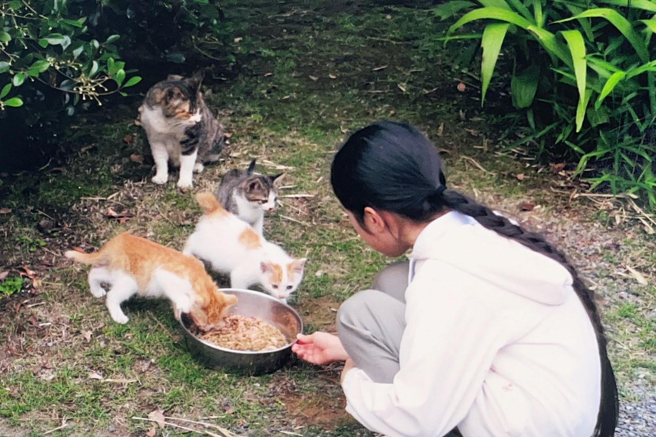 愛子さまと猫（宮内庁提供）