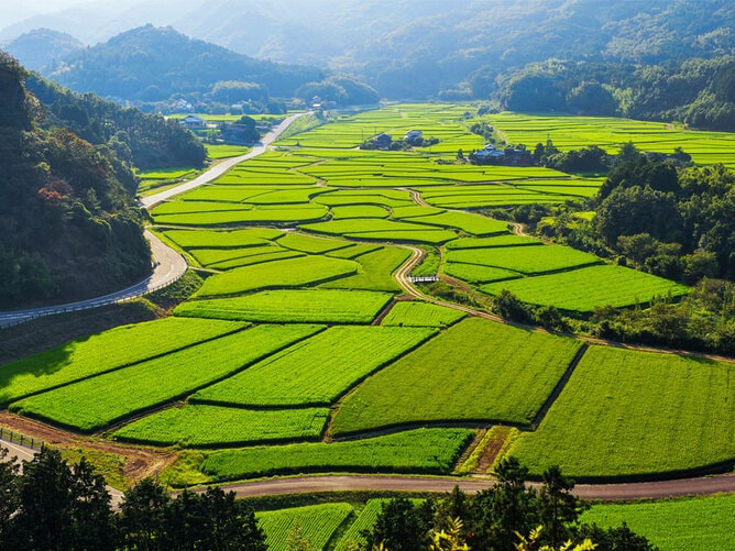 今こそ行きたい！ 「日本にしかない風景」再発見 | CREA