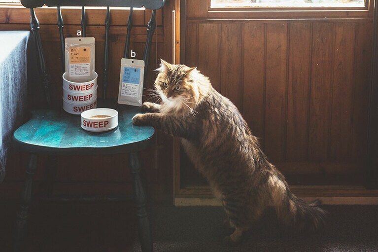 a鶏肉、にんじん、b真鯛、かぼちゃ 2種×3袋 3,000円(送料込)／スープストックトーキョー(フードボウルは「SWEEP」の参考商品)