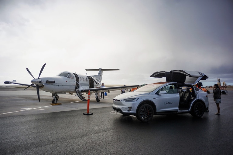 人数に応じた各種高級車がお出迎え。