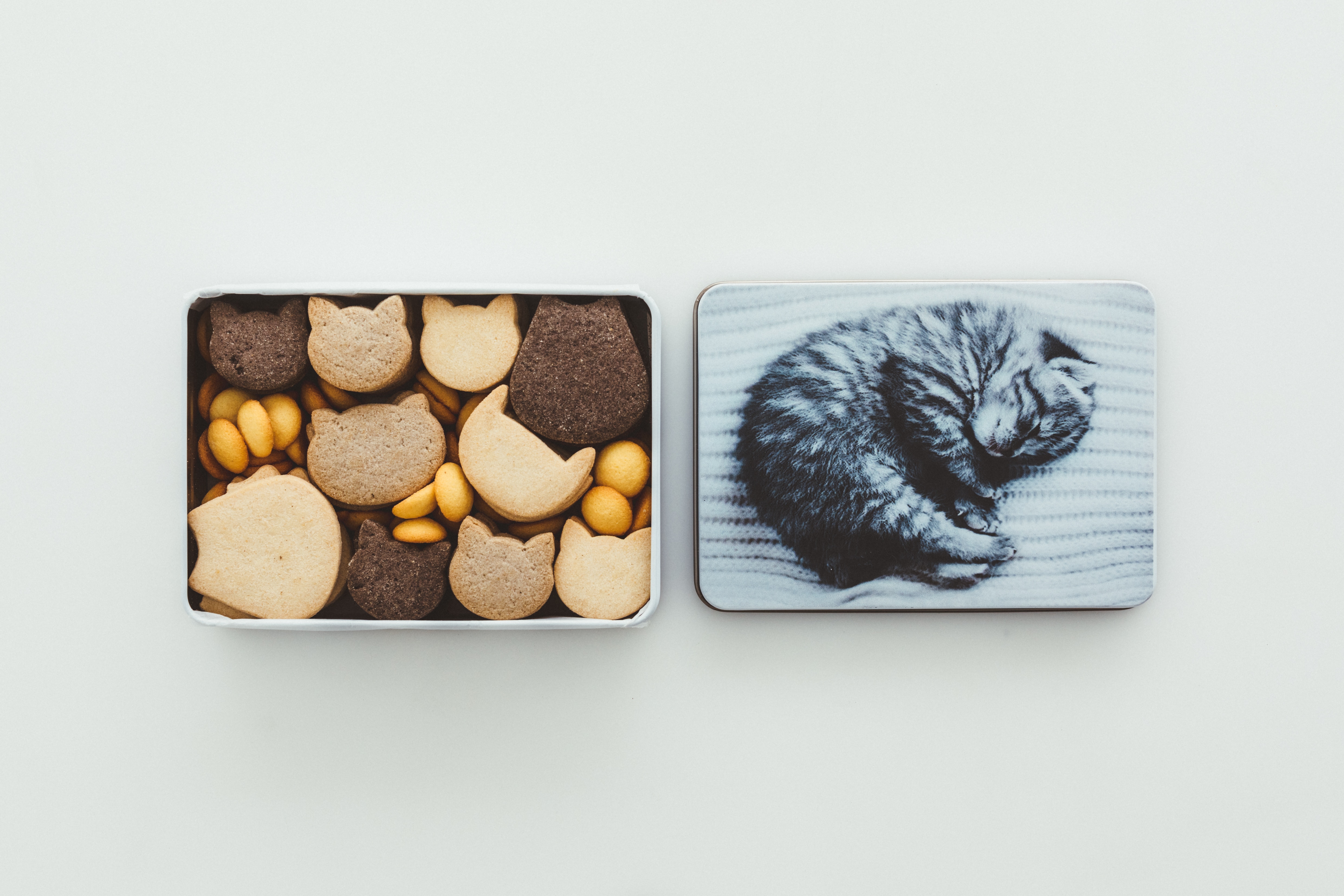 猫ネコクッキー缶 4,320円。お菓子のかわいらしさに定評がある洋菓子店の人気アイテム。ギフト通販のムードマーク限定商品で、眠る仔猫の愛らしい姿や素朴で優しい味わいの猫形クッキーは愛猫家への贈りものにもぴったり／アンファン（088-884-1170／moodmark.mistore.jp）
