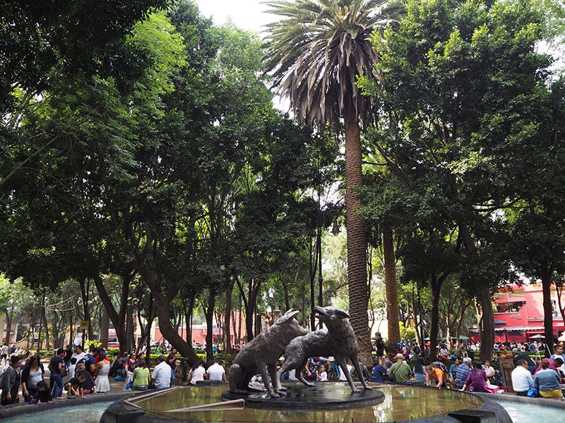 イダルゴ広場のはす向かいにある、センテナリオ広場の噴水には2頭のコヨーテが。