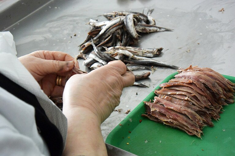 工房の一角で、アンチョビの瓶詰を製造中。