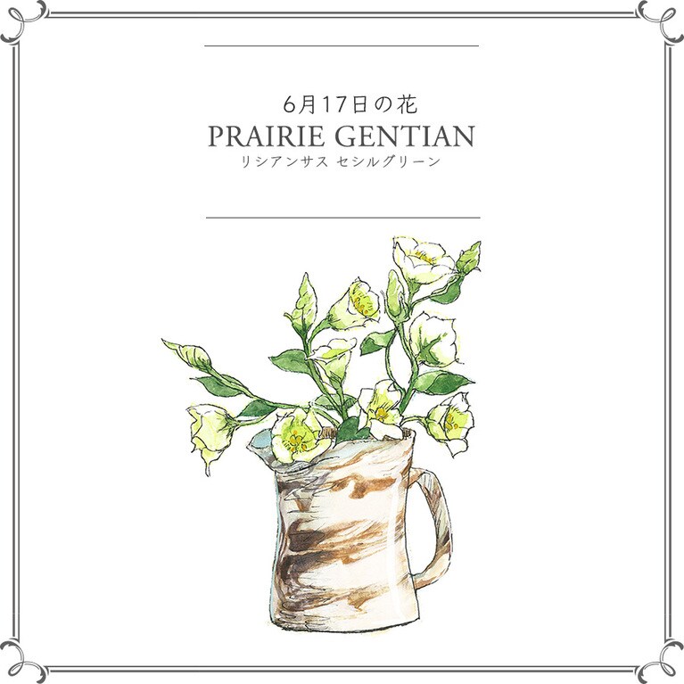 【6月17日の花】リシアンサス「セシルグリーン」