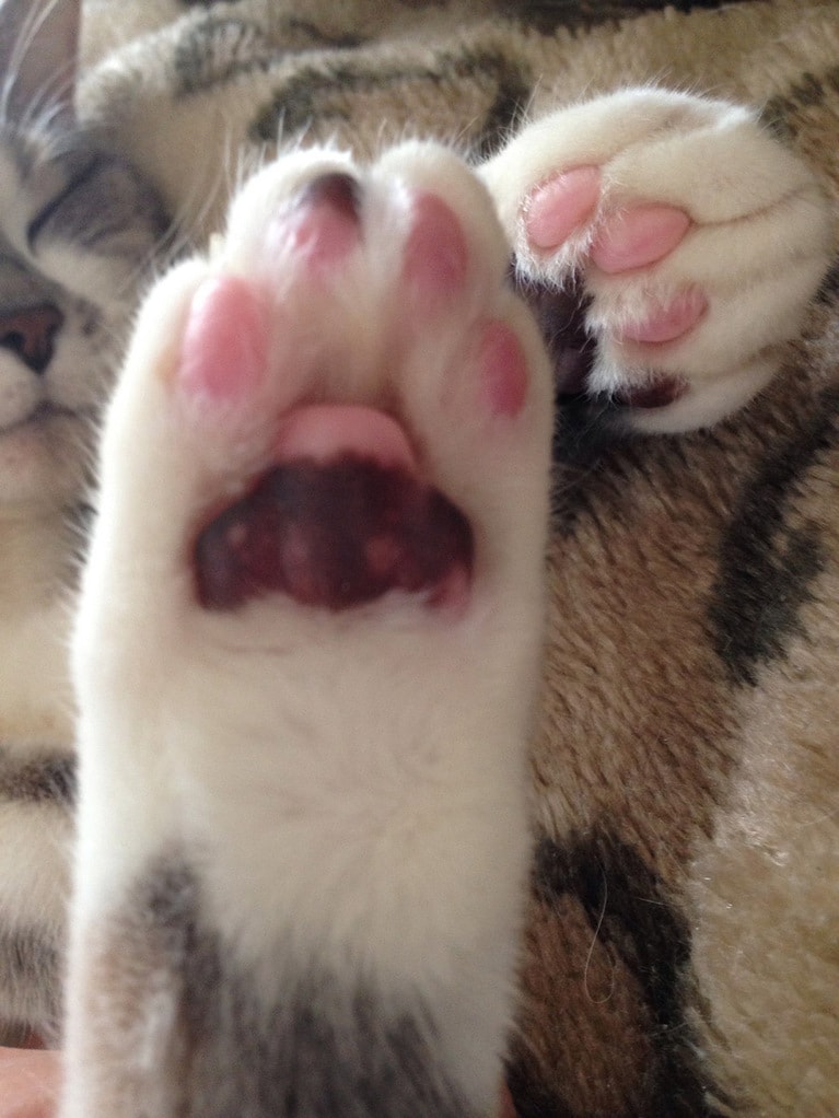 ラブ ♀ 17歳。こんなところにアポロチョコ♡