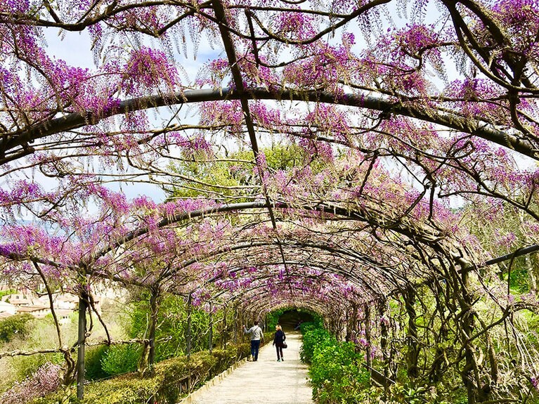 ようやく罰金を気にせず公園や郊外へ散歩に行けるように。