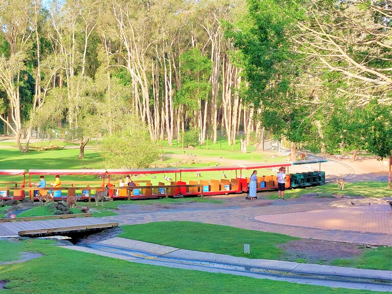 園内を周遊するミニ列車に乗っての見学も楽しい！