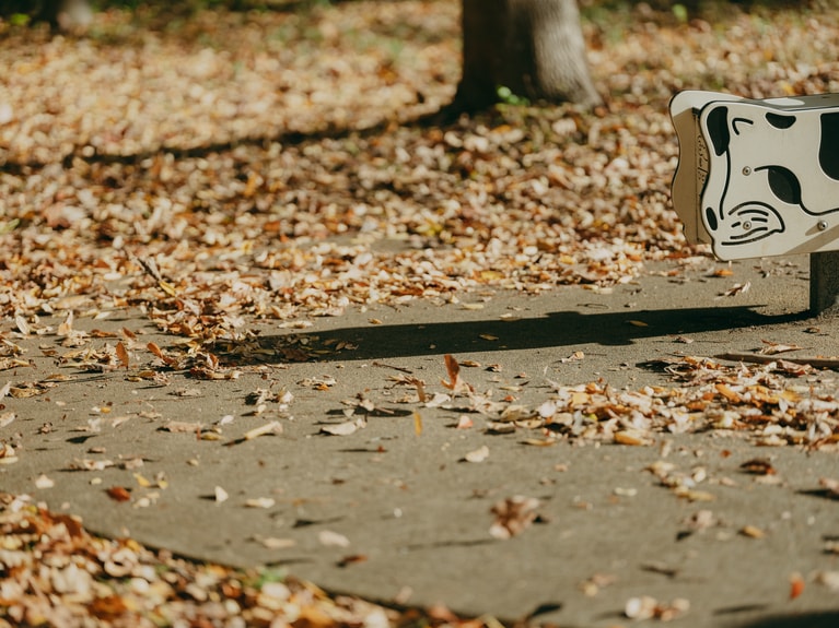 “何でもない”映画。