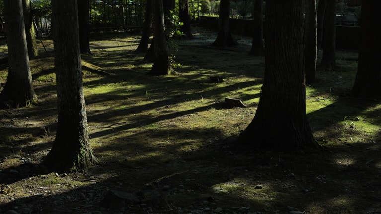 「私たちの新潟旅行」　大原えみ 「美学」 美しいものはいつもすぐ側にある。